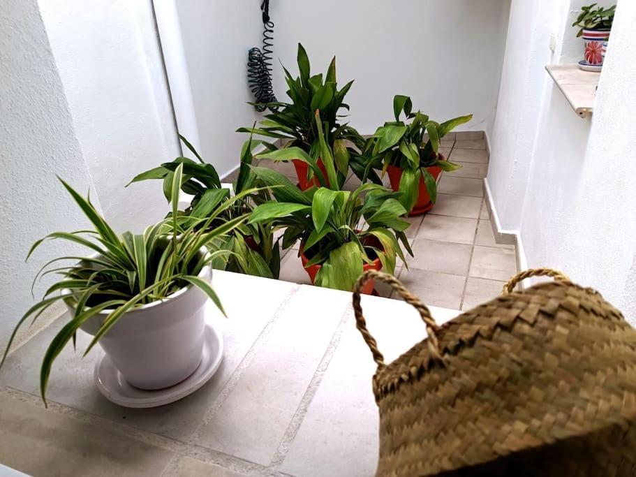 Apartamento Alberzana - Barrio Albaicin - Grenada Zewnętrze zdjęcie